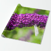 katydid energy cadeaupapier (Uitgerold)