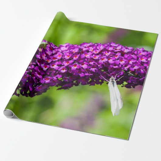 katydid energy cadeaupapier (Uitgerold)