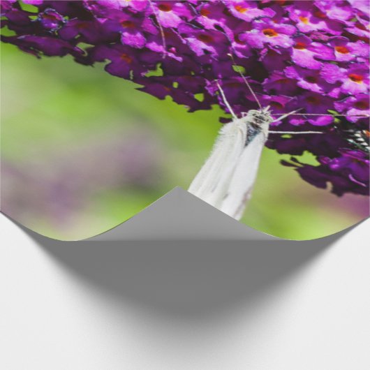 katydid energy cadeaupapier (Hoek)