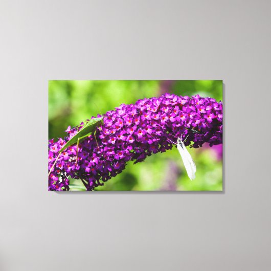 katydid energy canvas afdruk (Voorkant)