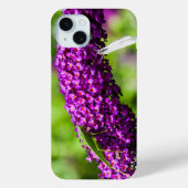 katydid energy Case-Mate iPhone case (Achterkant)