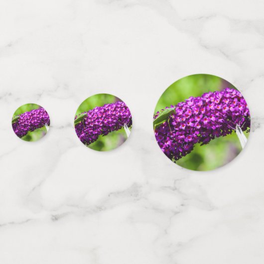 katydid energy confetti (Achterkanten)