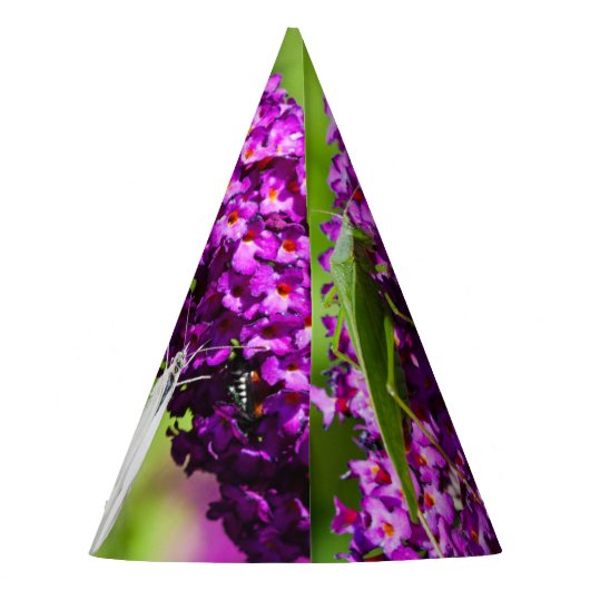 katydid energy feesthoedjes (Achterkant)