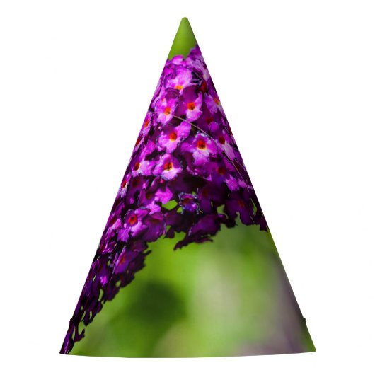 katydid energy feesthoedjes (Voorkant)