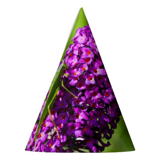 katydid energy feesthoedjes (Links)