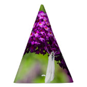 katydid energy feesthoedjes (Rechts)