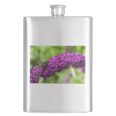 katydid energy flacon (Voorkant)