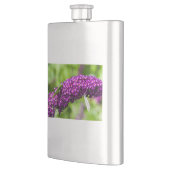 katydid energy flacon (Links)