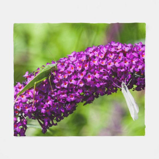 katydid energy fleece deken (Voorkant (Horizontaal))