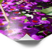 katydid energy foto afdruk (Hoek)