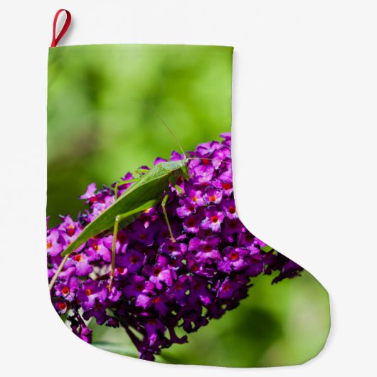 katydid energy grote kerstsok (Voorkant)