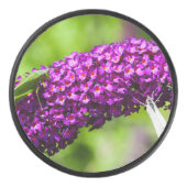 katydid energy hockey puck (Voorkant)