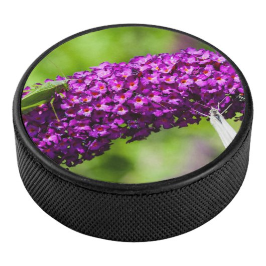 katydid energy hockey puck (3/4)