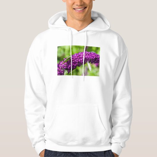 katydid energy hoodie (Voorkant)