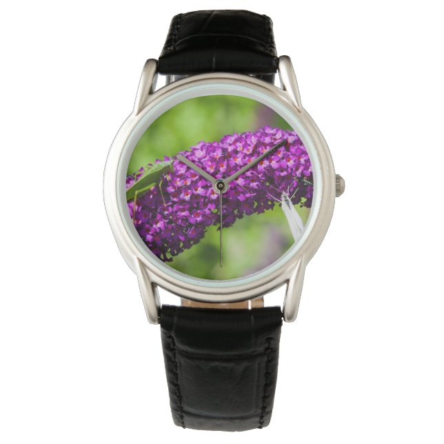 katydid energy horloge (Voorkant)