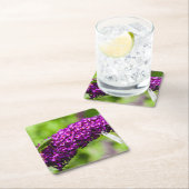 katydid energy kartonnen onderzetters (Insitu)