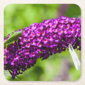 katydid energy kartonnen onderzetters (Voorkant)