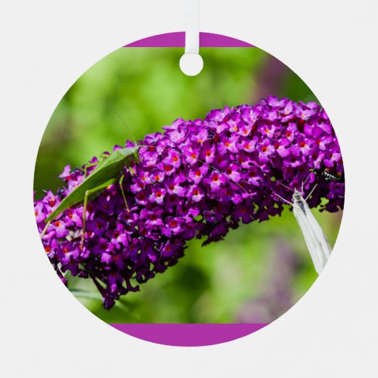 katydid energy keramisch ornament (Voorkant)