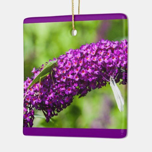 katydid energy keramisch ornament (Links)