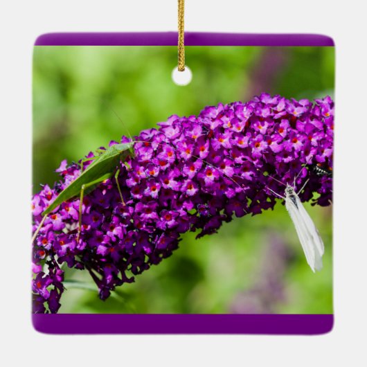 katydid energy keramisch ornament (Achterkant)