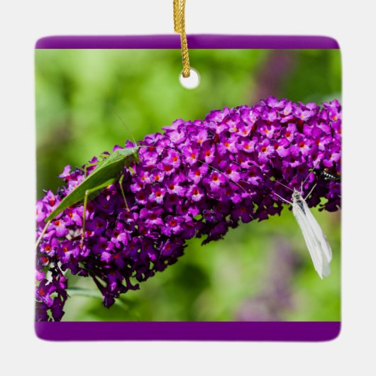 katydid energy keramisch ornament (Voorkant)