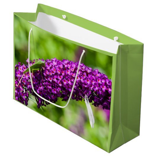 katydid energy large gift bag groot cadeauzakje (Voorkant Gekanteld)