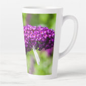 katydid energy latte mok (Rechts)