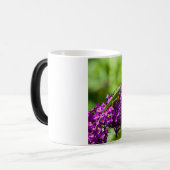 katydid energy magische mok (Voorkant links)