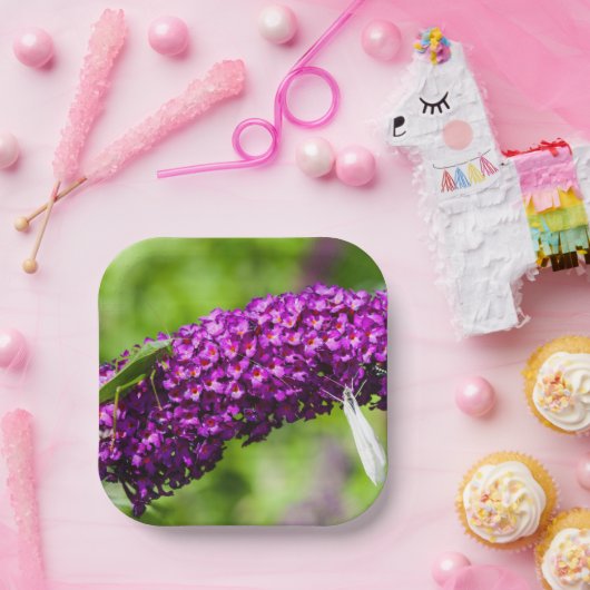 katydid energy papieren bordje (Feest)