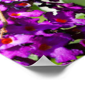 katydid energy poster (Hoek)