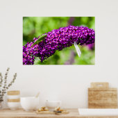 katydid energy poster (Keuken)