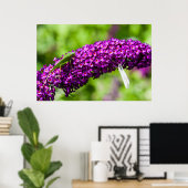 katydid energy poster (Thuiskantoor)