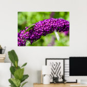 katydid energy poster (Thuiskantoor)