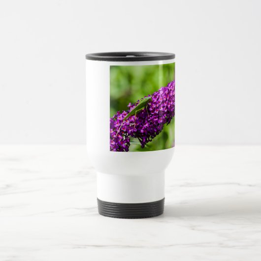 katydid energy reisbeker (Center)