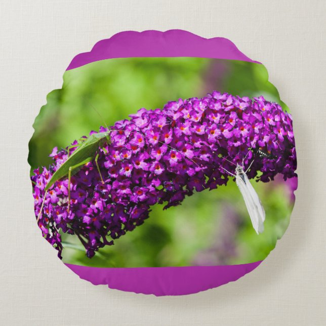 katydid energy rond kussen (Voorkant)