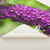 katydid energy sherpa deken (3/4)