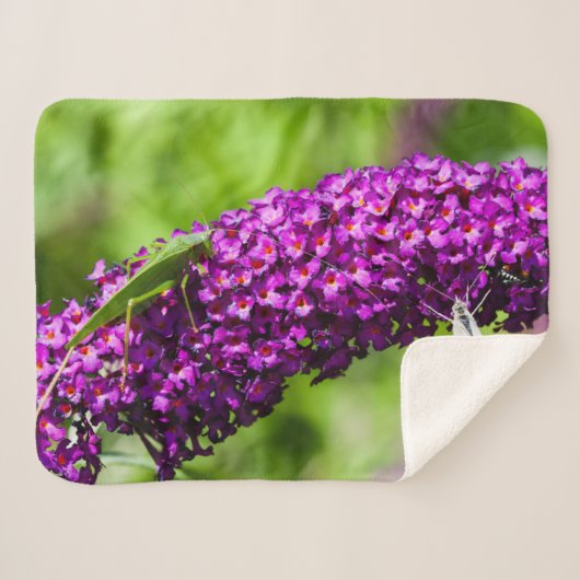 katydid energy sherpa deken (Voorkant (horizontaal))