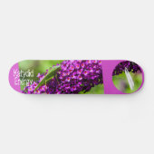 katydid energy skateboard (Horizontaal)