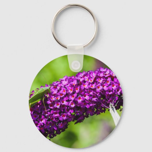 katydid energy sleutelhanger (Voorkant)