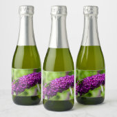 katydid energy sparkling wijnetiket (Flessen)