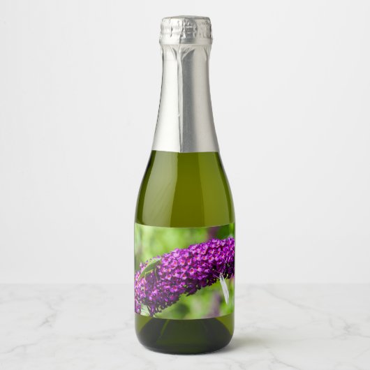 katydid energy sparkling wijnetiket (Voorkant)