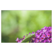 katydid energy stof (Fat Quarter)