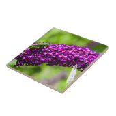 katydid energy tegeltje (Zijkant)