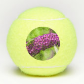 katydid energy tennisballen (Voorkant)
