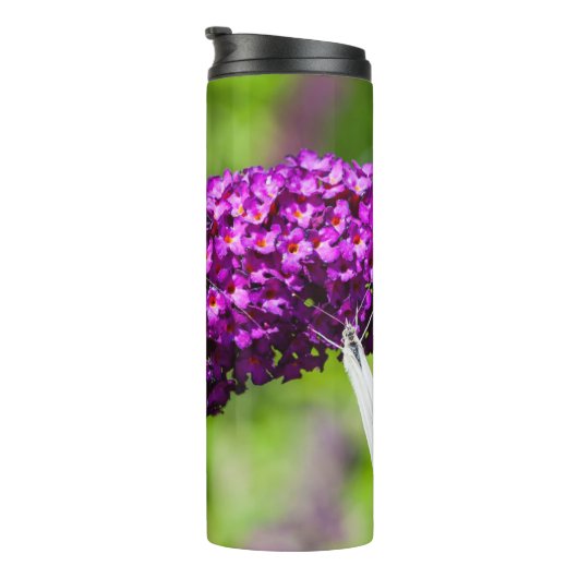 katydid energy thermosbeker (Geroteerd rechts)