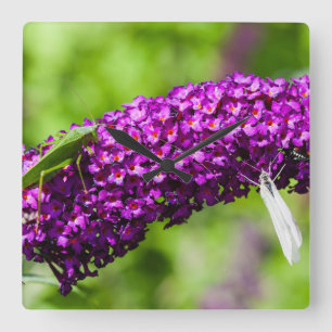 katydid energy vierkante klok