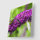 katydid energy vierkante klok (Hoek)