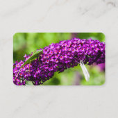 katydid energy visitekaartje (Achterkant)