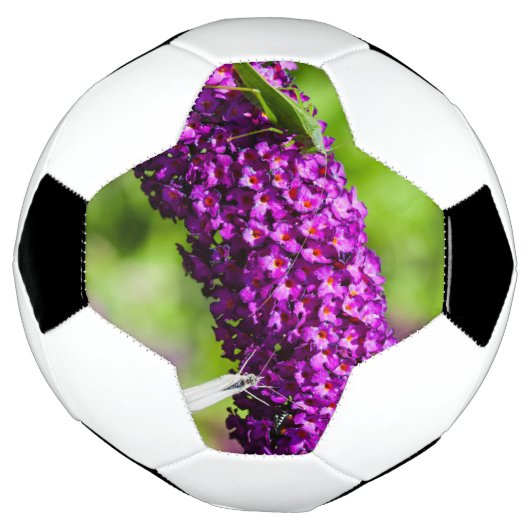 katydid energy voetbal (Gedraaid)