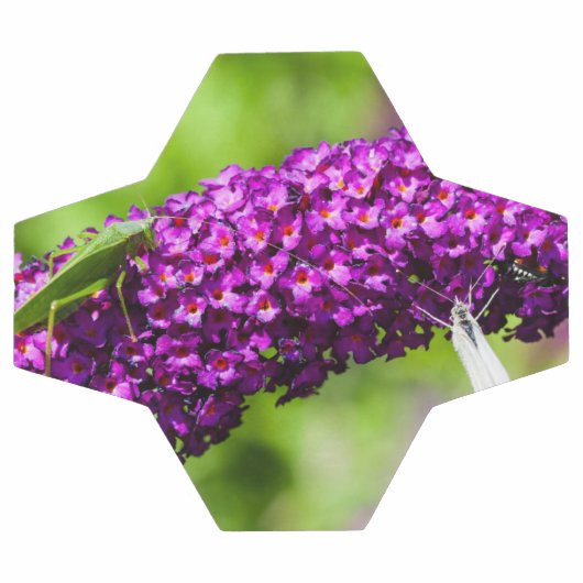 katydid energy voetbal (Enkel)